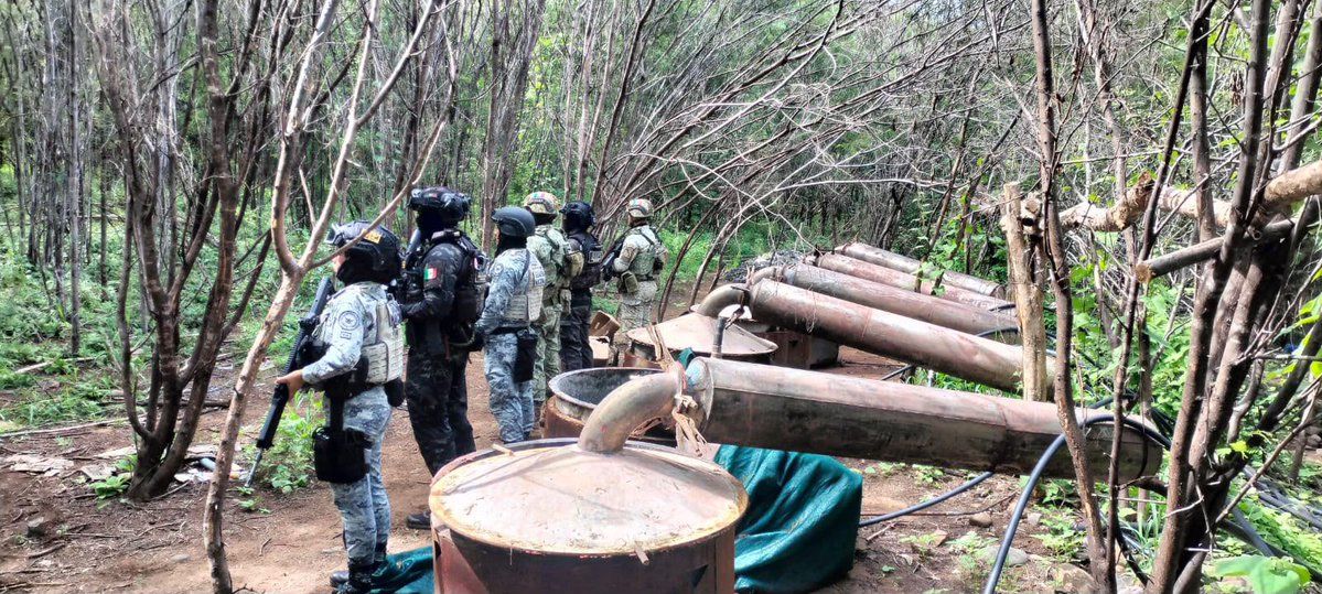 Desmantelan cuatro laboratorios clandestinos en Michoacán y Guerrero