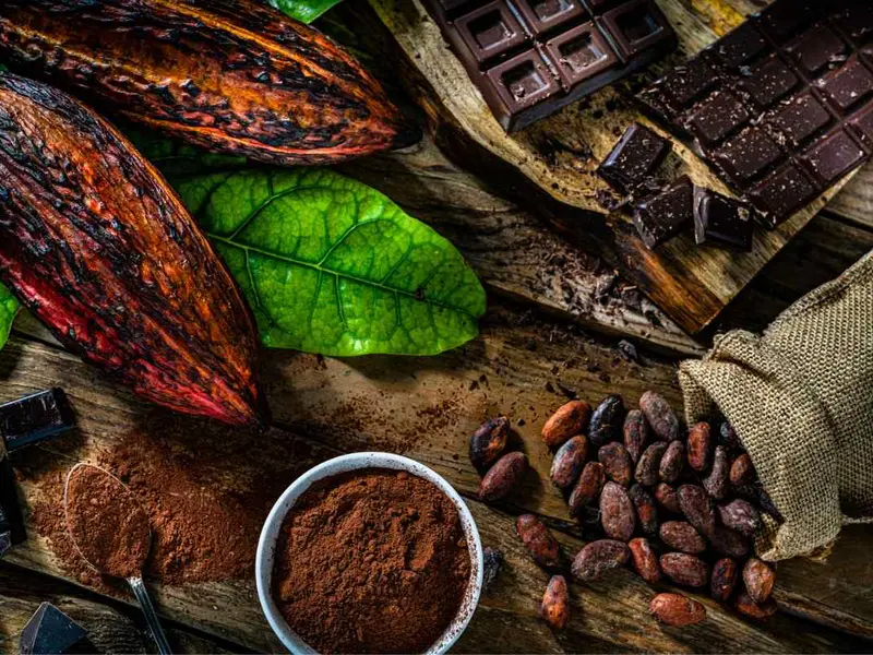 Chocolate, aromas y catas: el Museo del Perfume tendrá un festival dedicado al cacao en el Centro Histórico